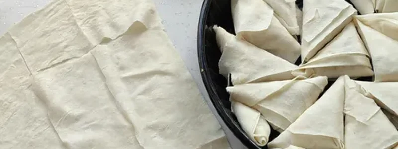 Samosa progress_result